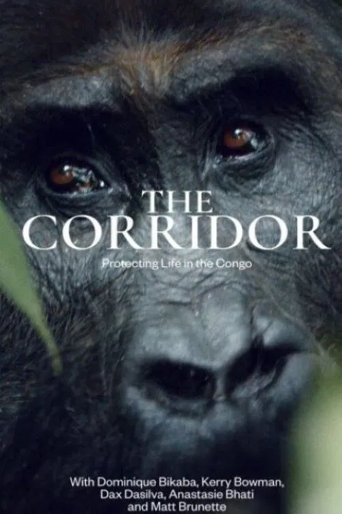 The Corridor movie poster