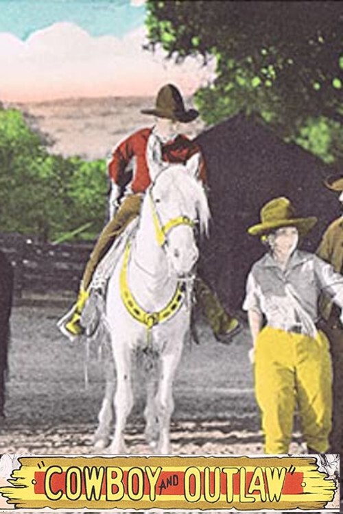 The Cowboy and the Outlaw movie poster