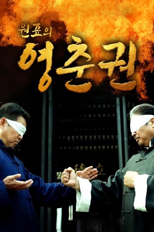 원표의 영춘권 tv show poster