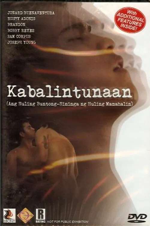 Kabalintunaan movie poster