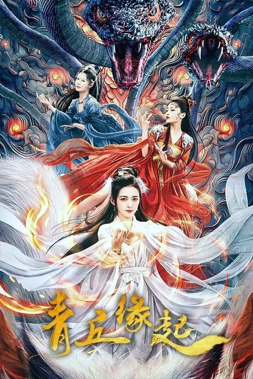 Poster do filme Lost Destiny