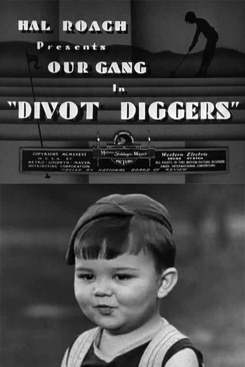 Divot Diggers movie poster