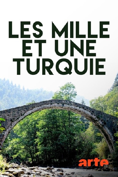 Abenteuer Türkei tv show poster