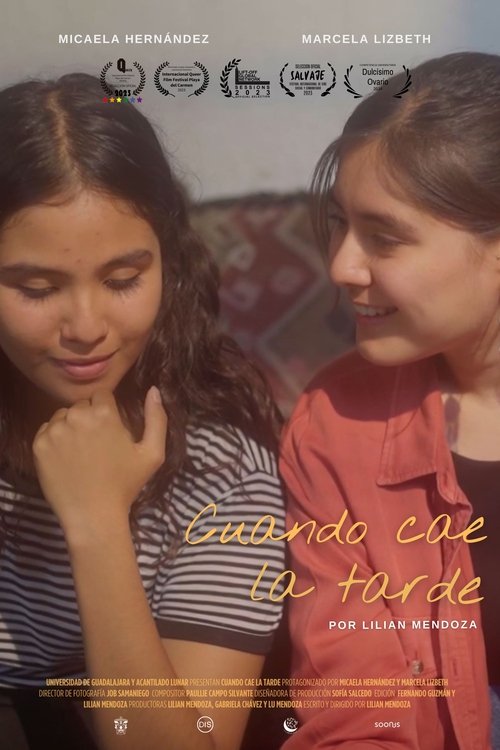 Poster do filme When afternoon falls