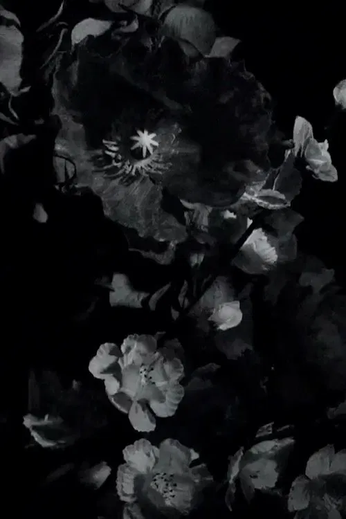 One Eye Open movie poster