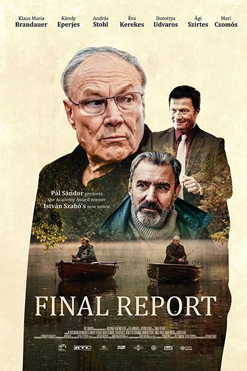 Final Report movie poster