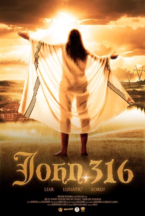 John, 316 movie poster