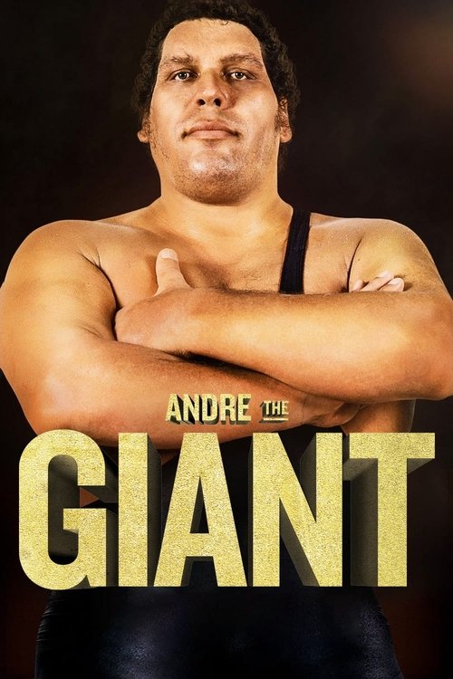 Andre the Giant movie poster