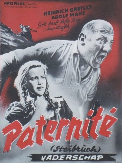 Steibruch movie poster