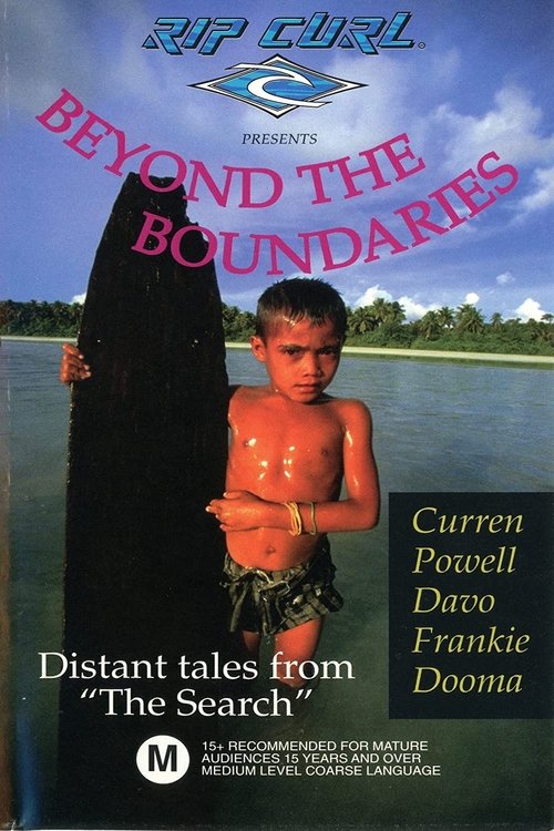 The Search 3: Beyond the Boundaries movie poster