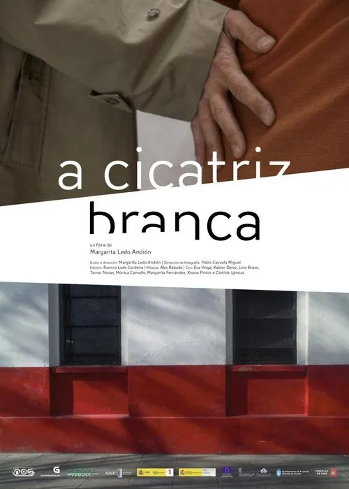 Apuntamentos para un filme movie poster