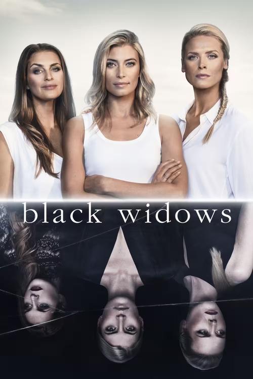 Black Widows tv show poster