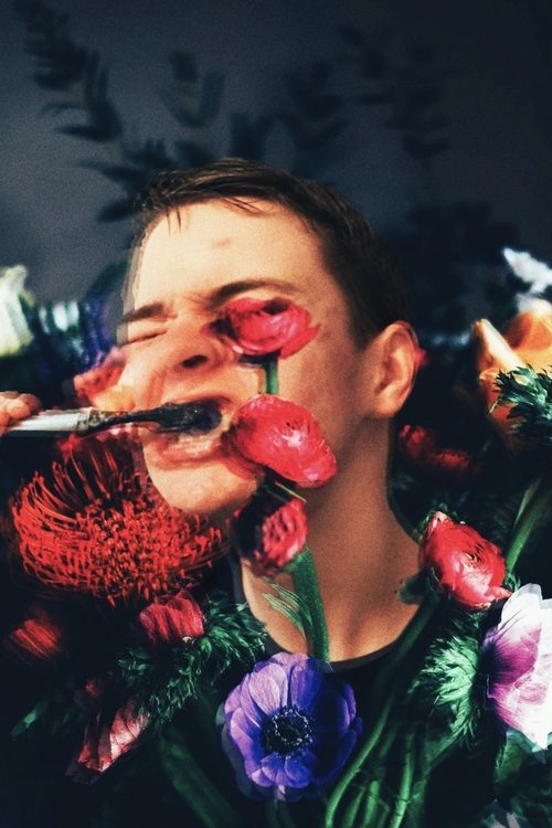 Levi Stengert profile picture