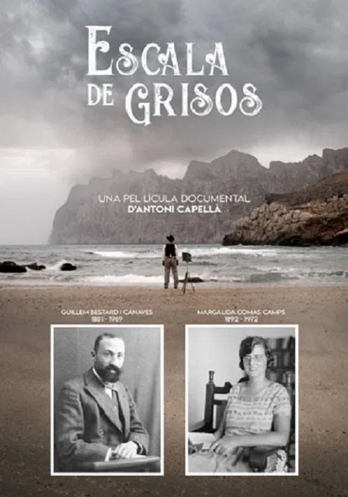 Escala de grisos movie poster