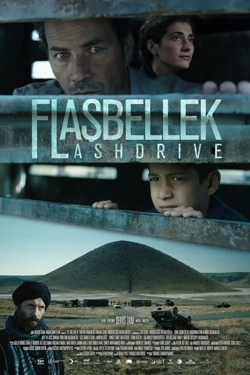 Flashdrive movie poster