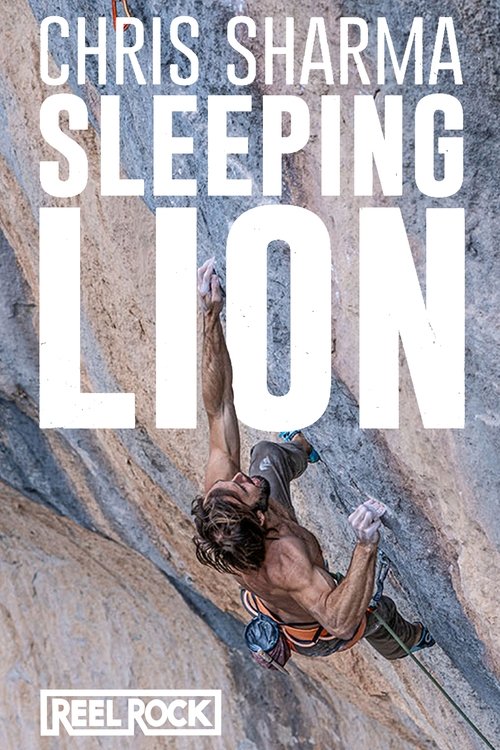 Sleeping Lion movie poster