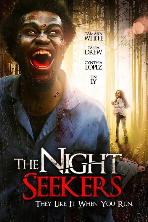 The Night Seekers movie poster