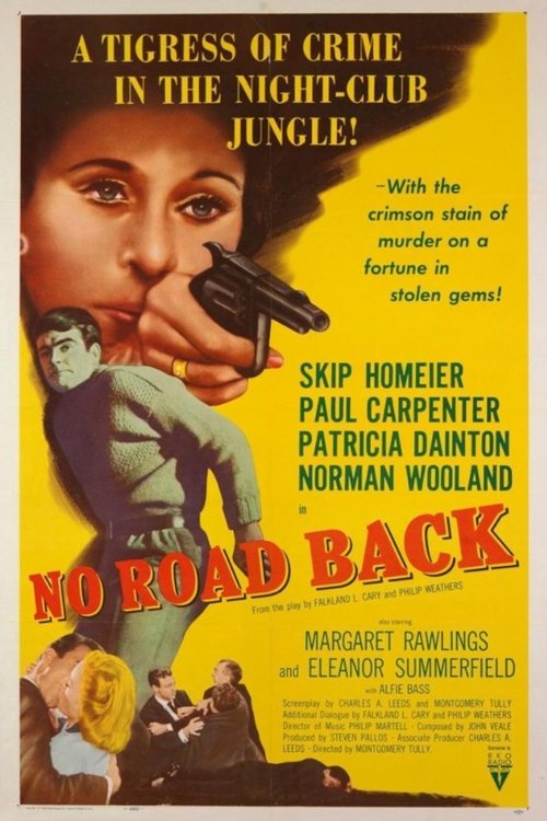 Poster do filme No Road Back