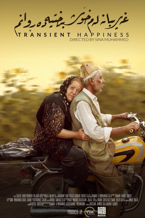 Transient Happiness movie poster