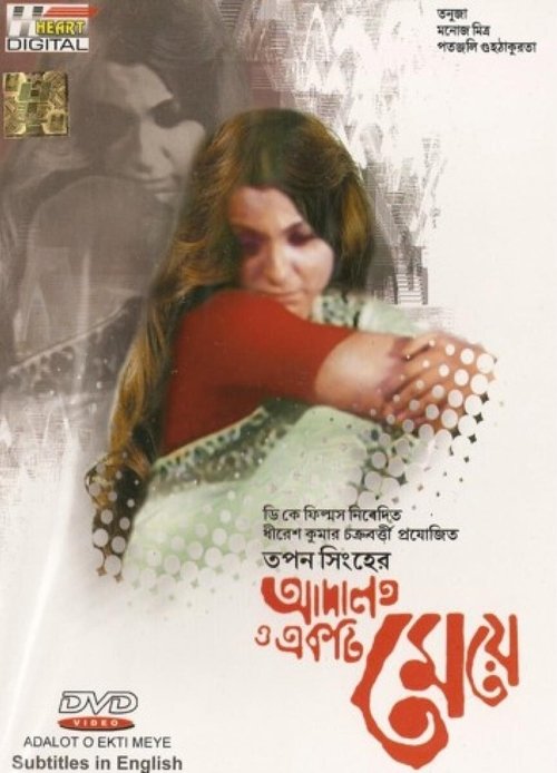 The Law and a Lady movie poster