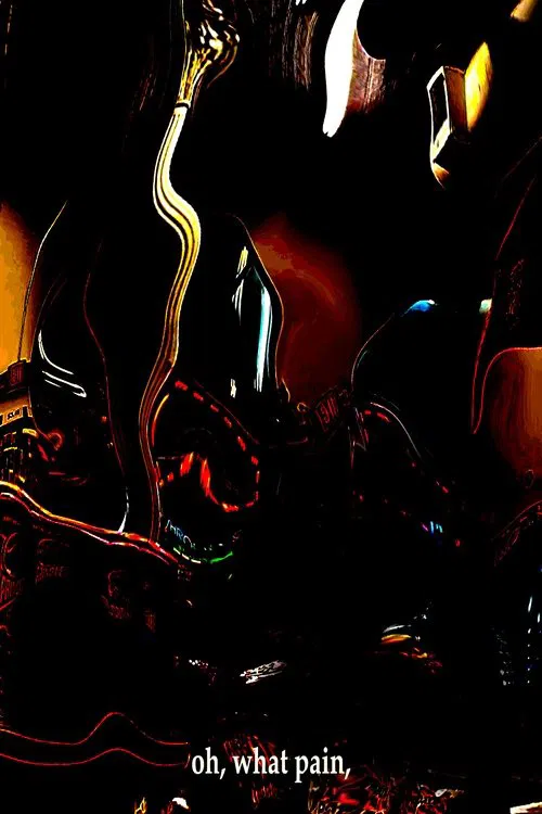 Poster do filme Letter to