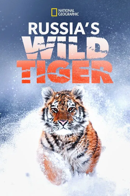 Russia's Wild Tiger movie poster