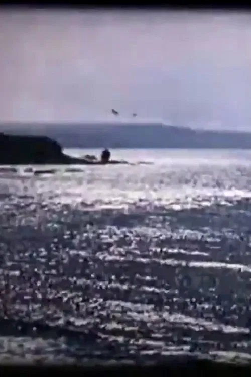 Lovely Devon movie poster