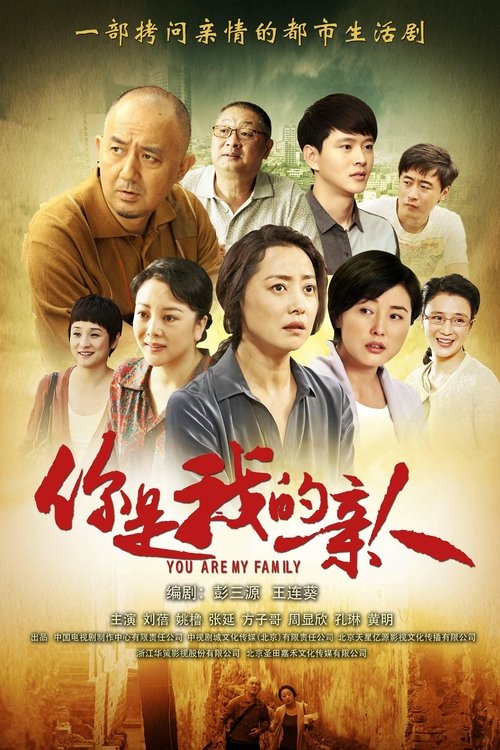 你是我的亲人 tv show poster