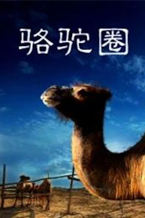 Camel Collar movie poster