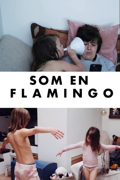 Som en flamingo movie poster