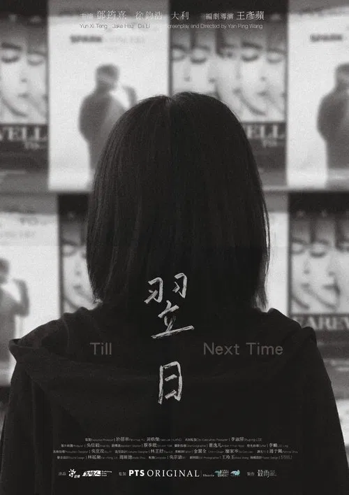 Till Next Time movie poster