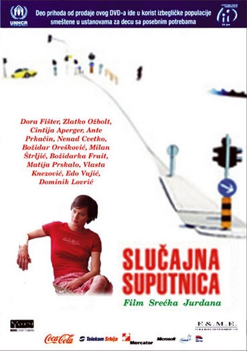 Accidental Co-Traveller movie poster