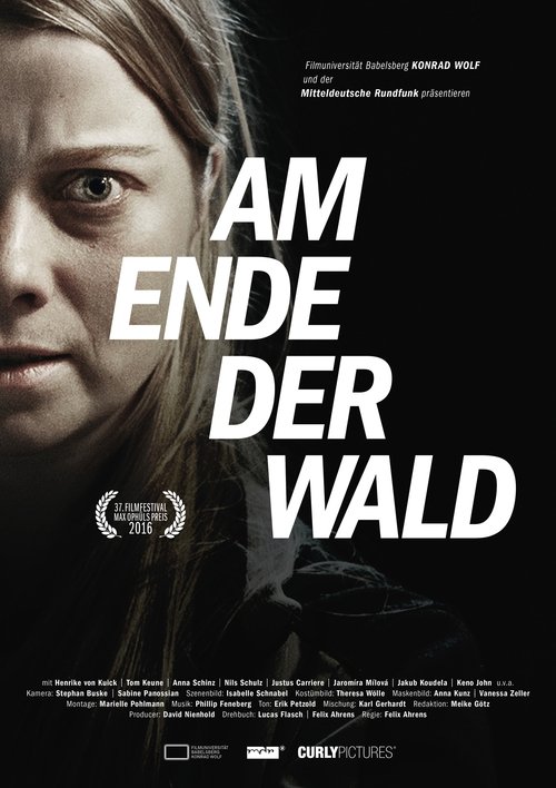 Am Ende der Wald movie poster