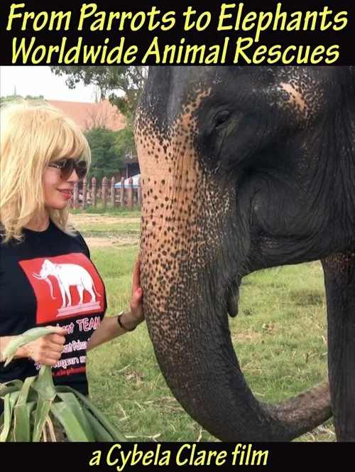 Poster do filme From Parrots to Elephants: Worldwide Animal Rescues