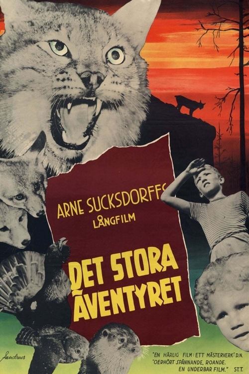 The Great Adventure movie poster