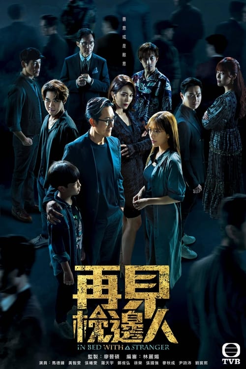 In Bed With A Stranger tv show poster