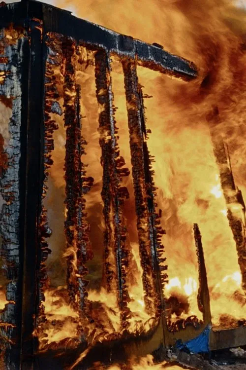 The Language of Fire movie poster