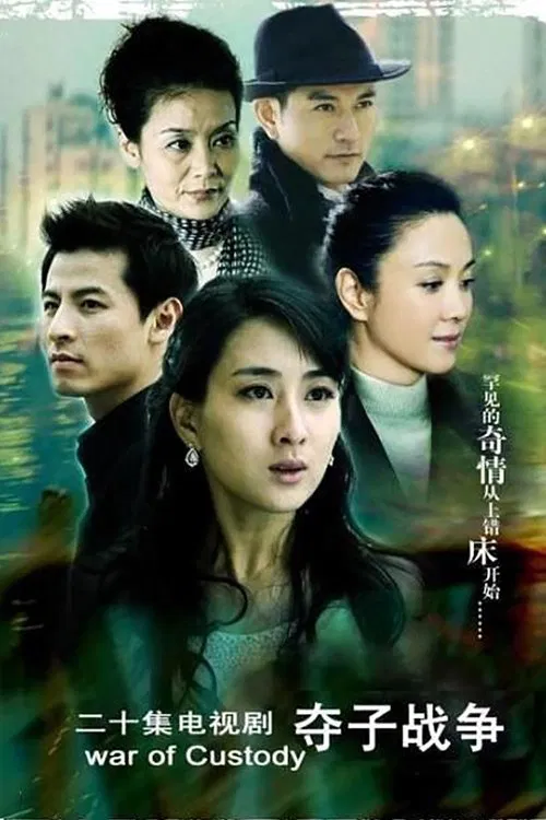 妇道之夺子战争 tv show poster