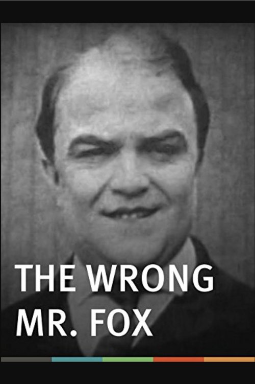 The Wrong Mr. Fox movie poster