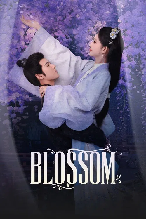 Blossom tv show poster