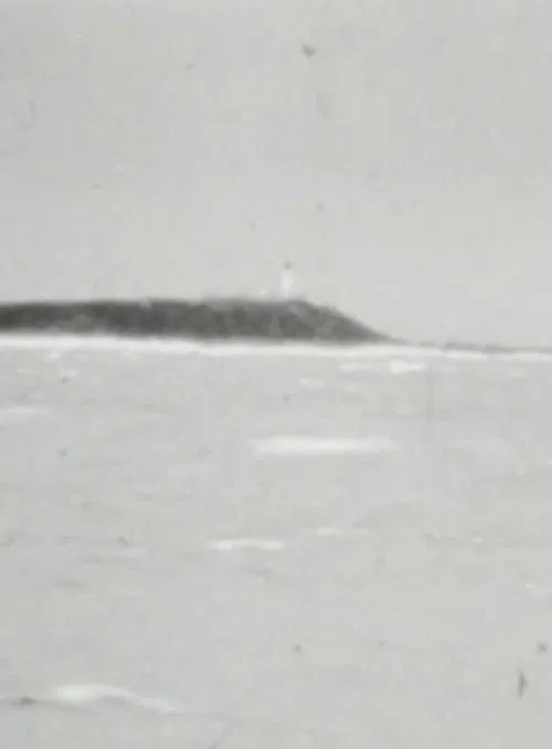 Frostbite movie poster