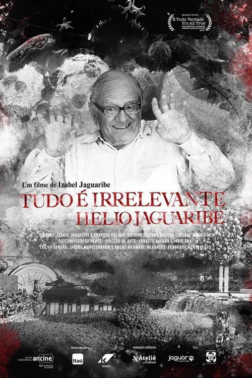 Tudo é Irrelevante. Hélio Jaguaribe movie poster