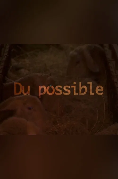 Poster do filme Du possible