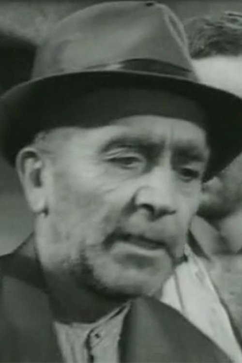 Petar Vujović profile picture