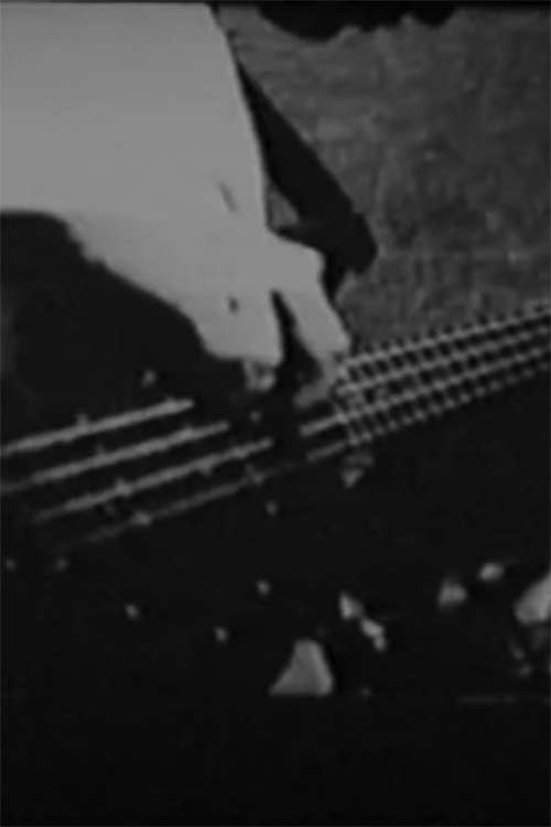 bodega 96 movie poster