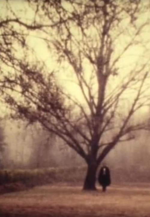 D. Jaime ou a Noite Portuguesa movie poster