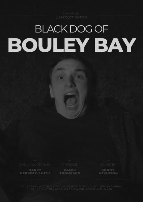 Black Dog of Bouley Bay movie poster
