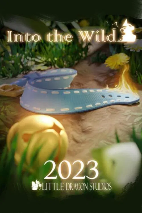 Into the Wild movie poster