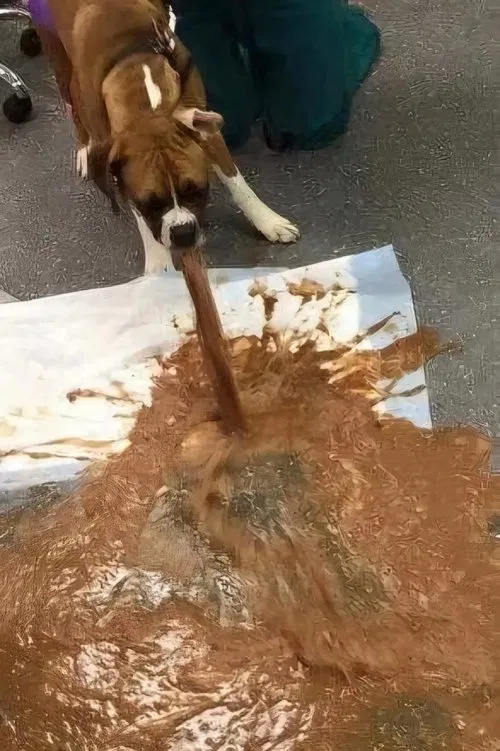 Deux Sœurs movie poster