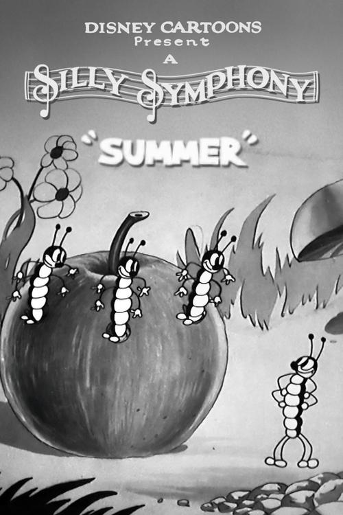 Poster do filme Verão